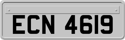 ECN4619