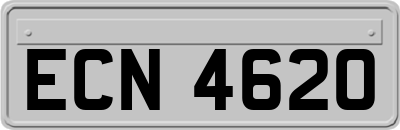 ECN4620