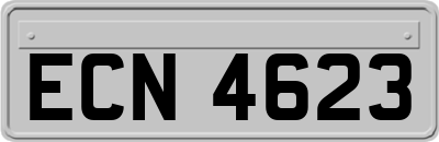ECN4623