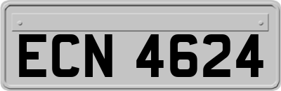 ECN4624