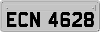 ECN4628