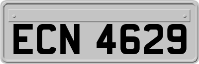 ECN4629