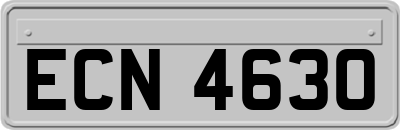 ECN4630