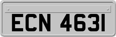 ECN4631