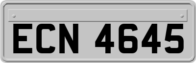 ECN4645