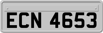 ECN4653