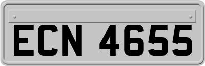 ECN4655