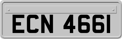 ECN4661