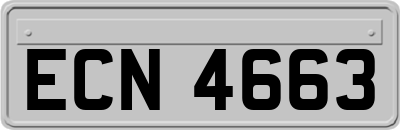 ECN4663