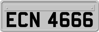 ECN4666