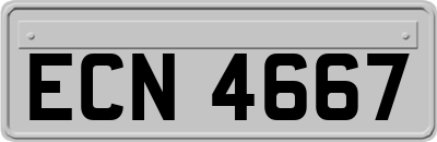 ECN4667