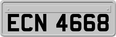 ECN4668