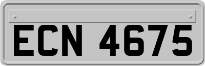 ECN4675
