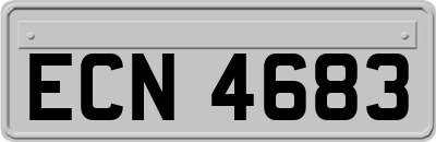 ECN4683