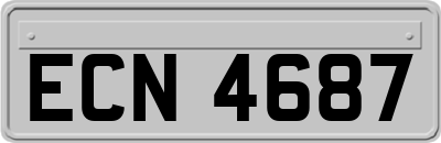 ECN4687