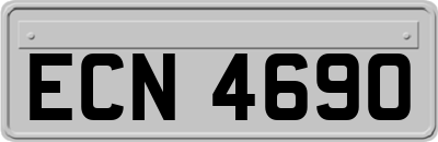 ECN4690