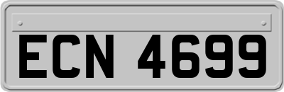 ECN4699