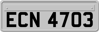 ECN4703