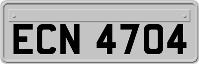 ECN4704