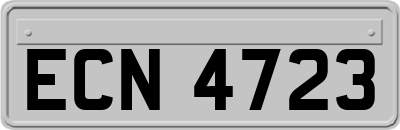 ECN4723