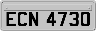 ECN4730