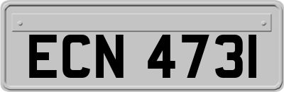 ECN4731