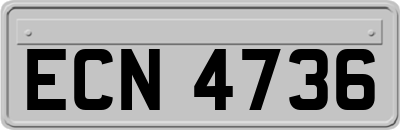 ECN4736