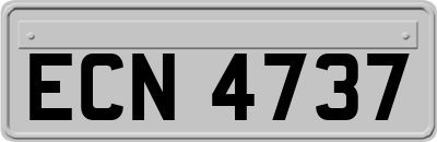 ECN4737