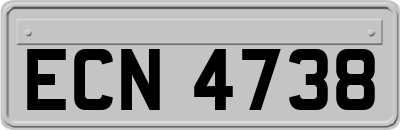 ECN4738