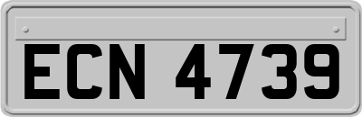 ECN4739