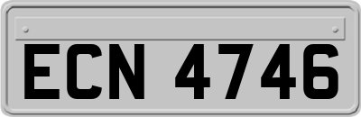 ECN4746