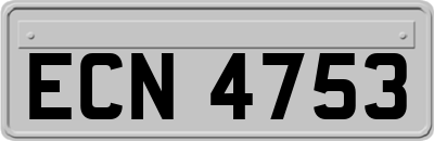 ECN4753