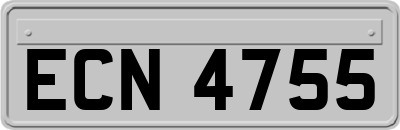 ECN4755