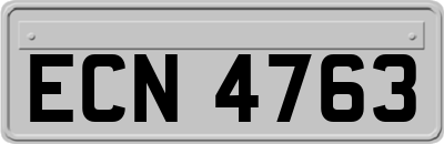 ECN4763