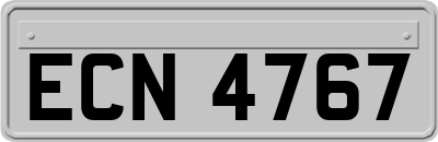 ECN4767