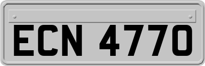 ECN4770