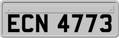 ECN4773