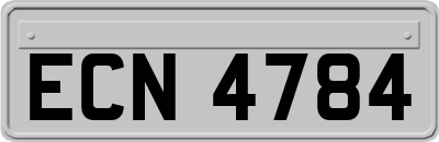 ECN4784
