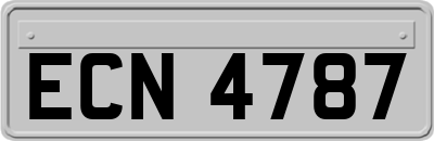 ECN4787