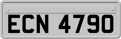 ECN4790