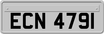 ECN4791