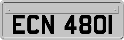 ECN4801