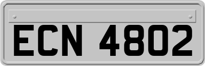 ECN4802