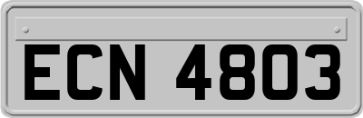 ECN4803