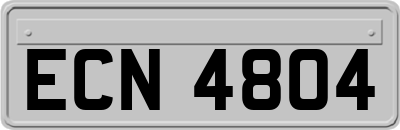 ECN4804
