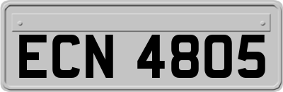 ECN4805