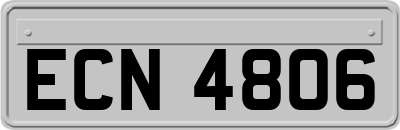 ECN4806