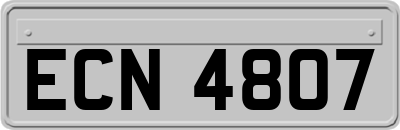 ECN4807