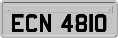 ECN4810