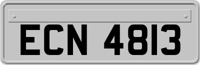 ECN4813
